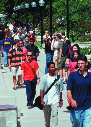 crowd walking